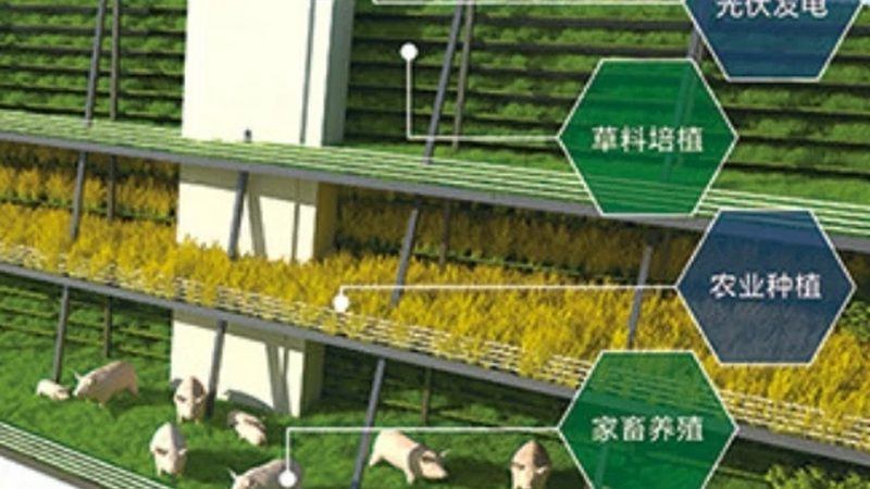 蔬菜大棚智慧化改造：流程揭秘与关键要点