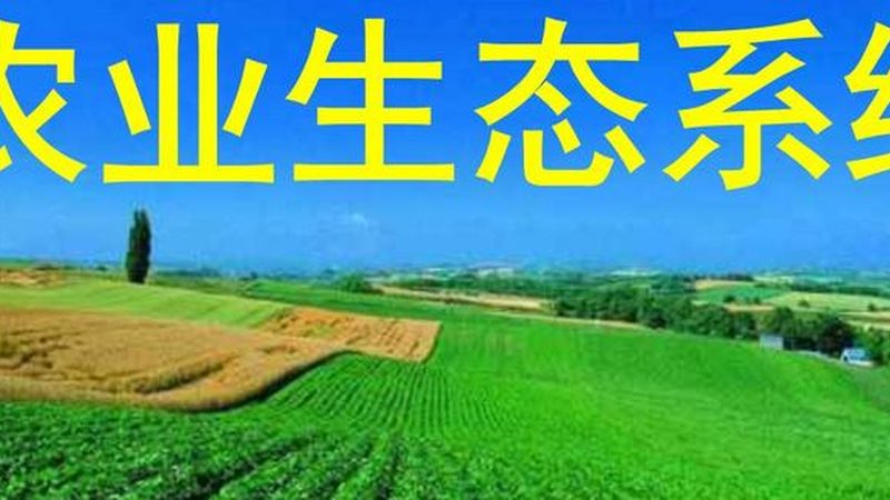 果蔬配送标准规范：保障食品安全的关键