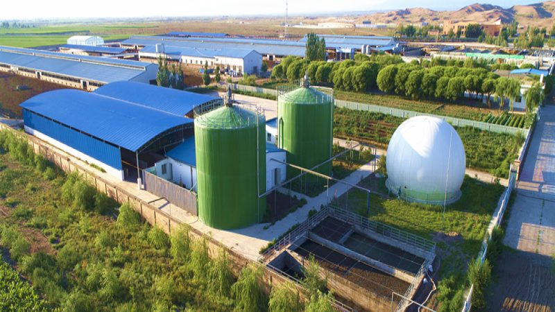 矿区土壤生态修复规范：关键步骤与注意事项
