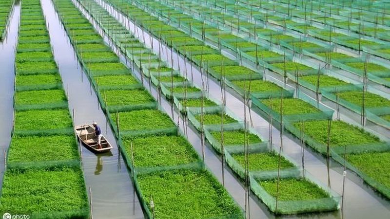 农业大棚灌溉系统材质选择：关键因素与误区解析**