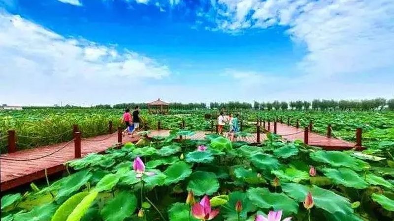 农药化肥能否共用，关键在于科学搭配**