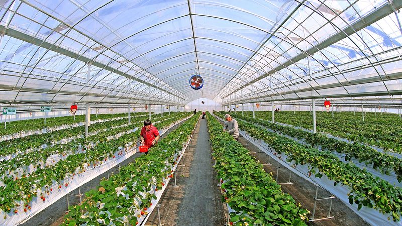 省级现代农业示范区建设规范：打造高效农业新标杆