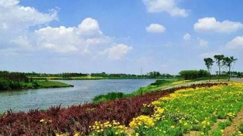 生鲜配送中心建设：关键环节与施工安装要点