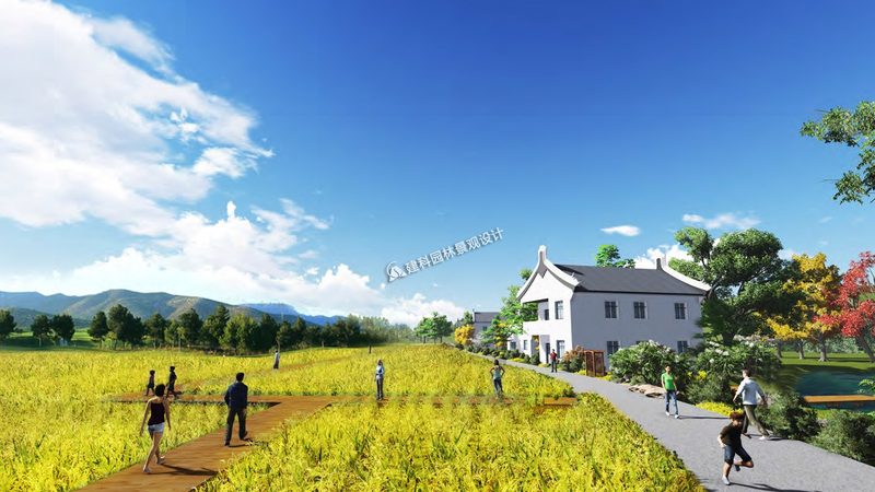 智慧灌溉系统标准规范：引领现代农业发展新篇章