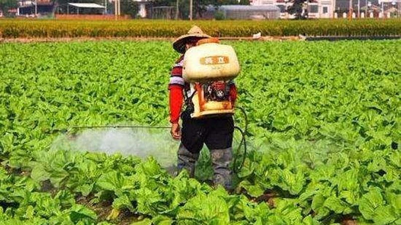 绿色食品认证，为农产品品质保驾护航